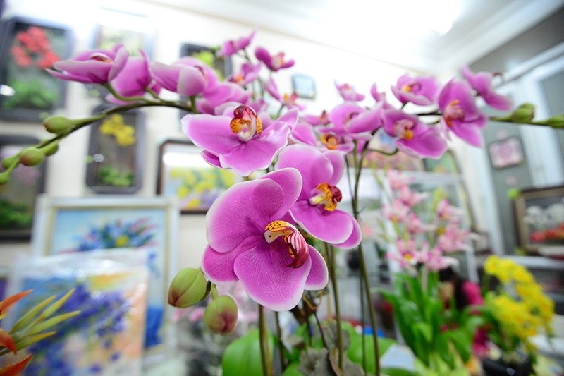 Muôn vẻ hoa ... đất chơi Tết ảnh 5